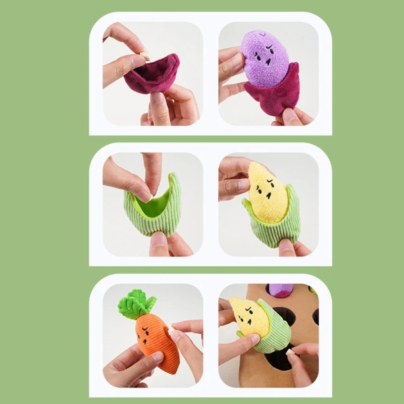 Veggie  π₯ππ½