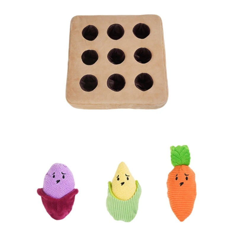 Veggie  π₯ππ½