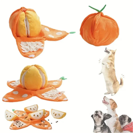 Orange🍊